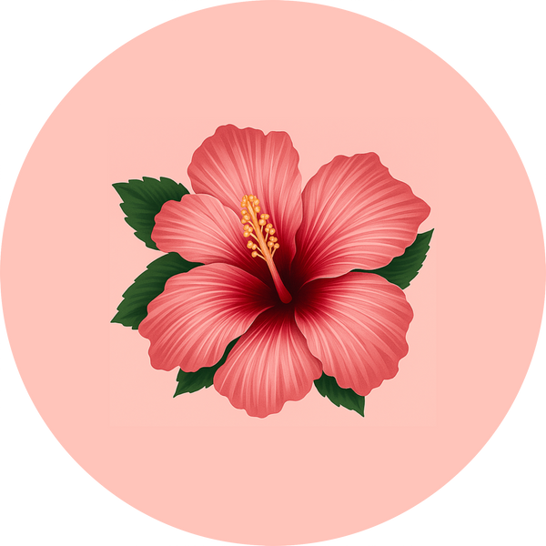 Hibiscus Beauty